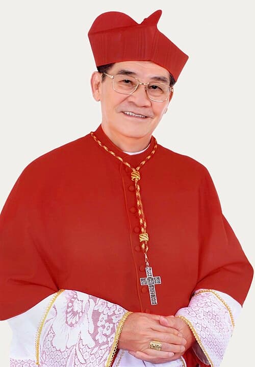 Chân dung Đức Hồng Y Gioan Baotixita Phạm Minh Mẫn